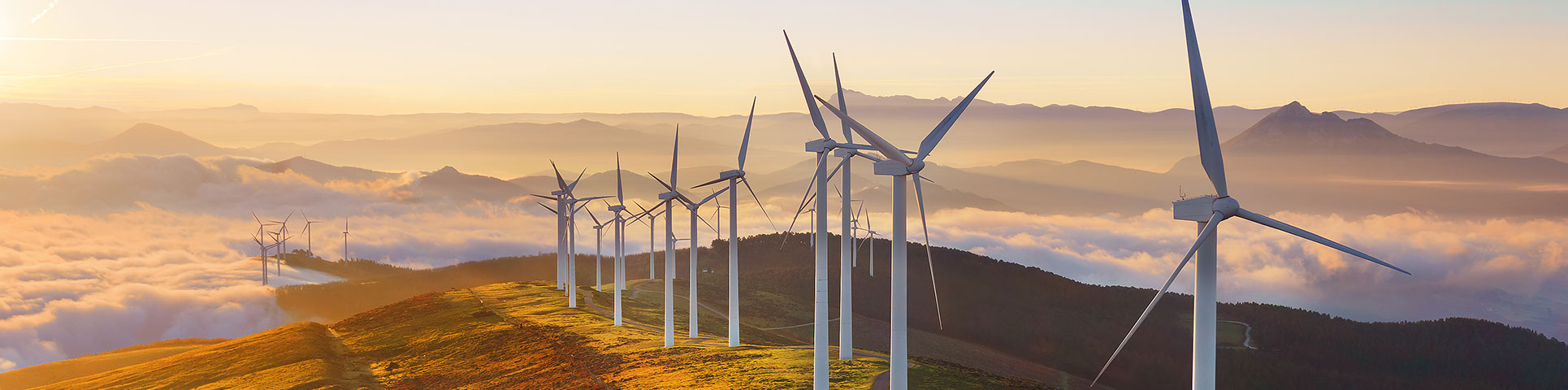 South Africa’s Renewables Triumph Faces a Grid-Service Reckoning